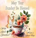 Sunday-dd