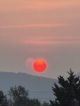 IMG_1075