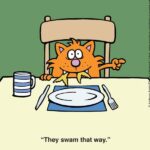 Learn-to-Speak-Cat-7-22-tail