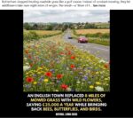 Rotherham