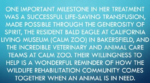 Screenshot-2026-07-23-5.39.47-PM