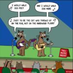 cat-music