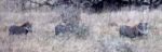 Screenshot_10
