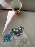 screws