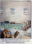 Doggie-Swim