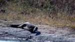 Zrzut-ekranu-62564