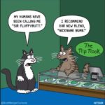 Cat-NipNook