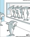Off-the-Mark-7-27-shark
