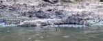 Screenshot_7