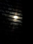 PXL_20260730_084730474