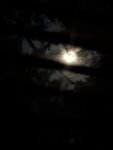 PXL_20260730_084905566