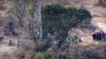 Zrzut-ekranu-62682