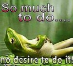 2-funny-lazy