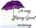 Rain-0a