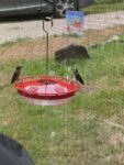 hummers