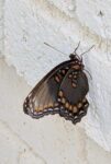 PXL_20260803_191002659