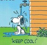 Cool-a