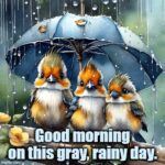 rain-0e