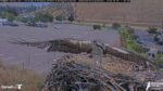 Screenshot_2