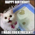 Kitty-a