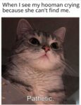 Cat-Day-1