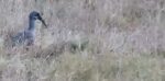 Screenshot_9