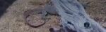 Screenshot_25