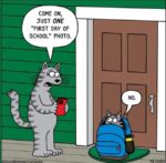 cat-school