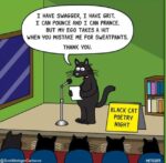 Black-Cat-Appreciation
