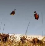 Screenshot_4