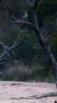 Screenshot_33