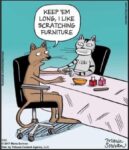 cat-long