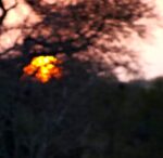Screenshot_4