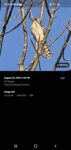 Screenshot_20260825-212626_Gallery