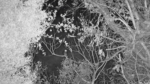 Zrzut-ekranu-63201