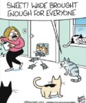 Off-the-Mark-8-26-enough