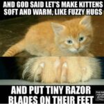 Kittens-a