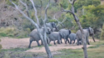 Ellies-Djuma