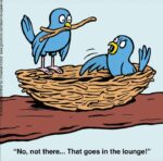 Learn-to-Speak-Cat-8-28-nest