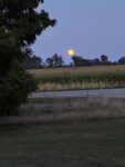 IMG_0984