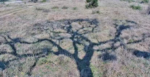 ground-art