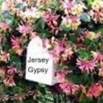 jerseygypsy