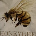 Tracy-MI