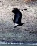 Screenshot_7