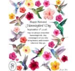Hummingbird-Day2