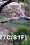 Screenshot_23