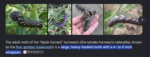 Screenshot-2026-09-07-9.14.44-PM