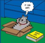 cat-procrastinator