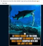 aquarium