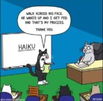 cat-Haiku